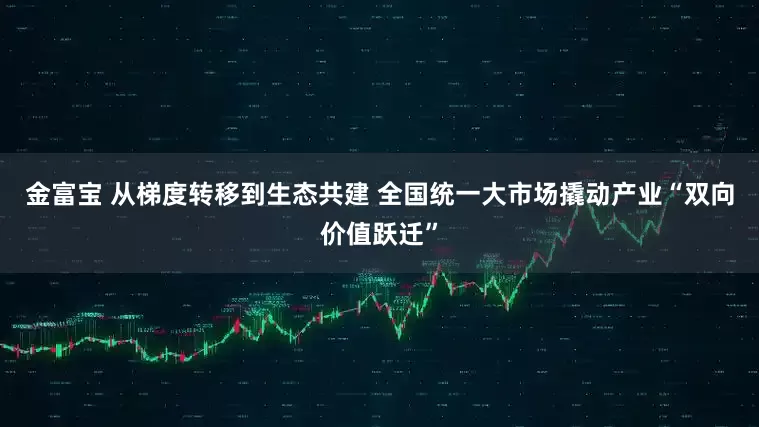 金富宝 从梯度转移到生态共建 全国统一大市场撬动产业“双向价值跃迁”